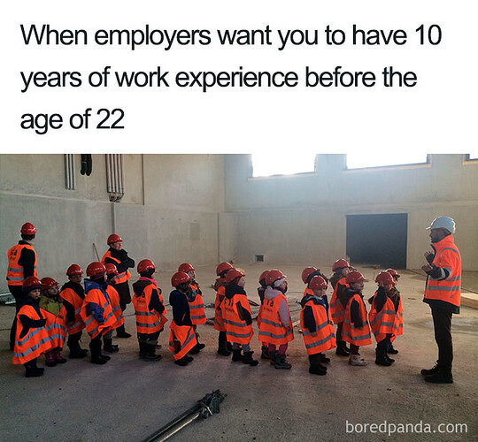 job-interview-memes-4-5d14afb89b099__700
