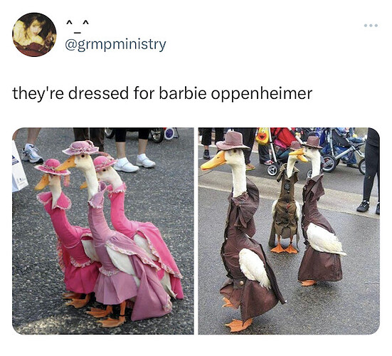 These ducks are dressed for  Barbie and Oppenheimer